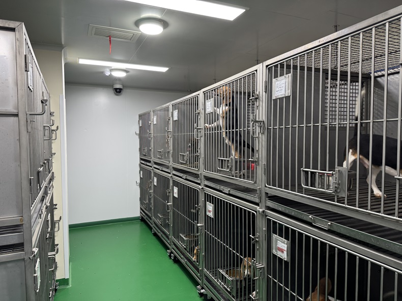 天津?qū)嶒炇已芯克曨l監(jiān)控系統(tǒng)